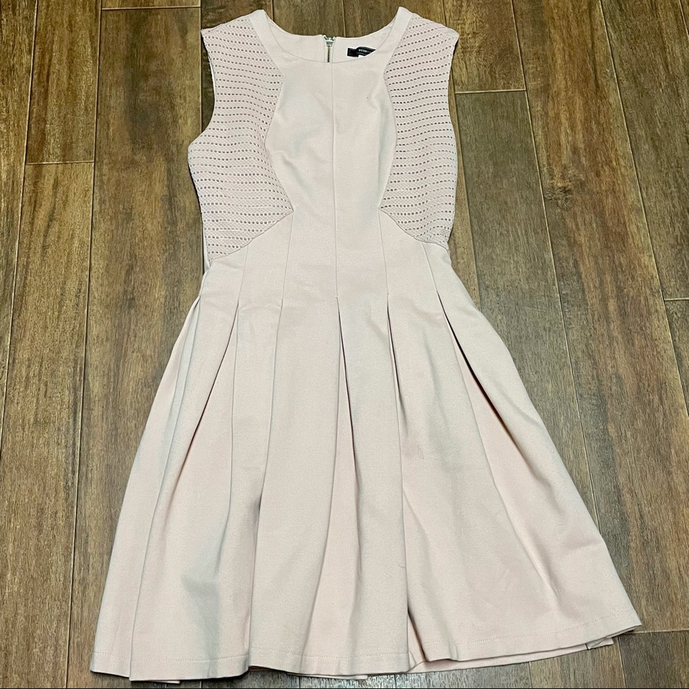 Bcbgmaxazria | Pale Dusty Pink Fit and Flare Sleeveless Mini Dress
